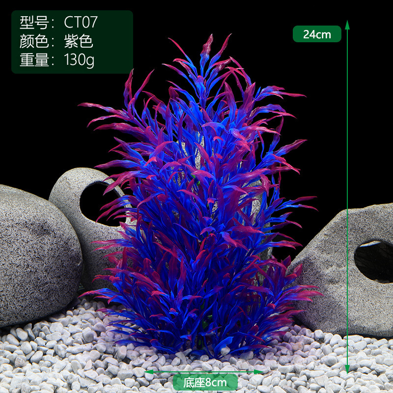 CT07紫色.JPG