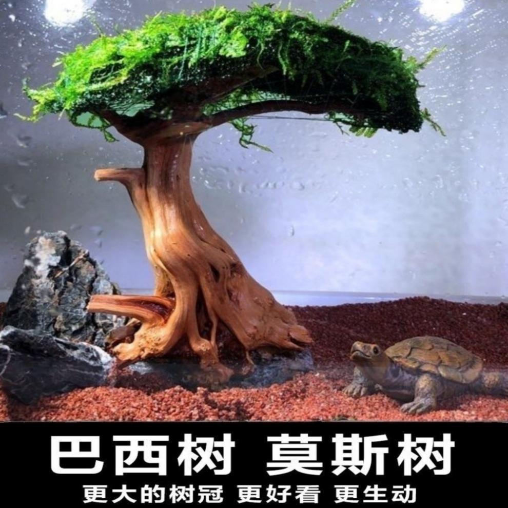 ec2013b0-c0cb-42d2-a3c6-3382dfb20b22.jpe