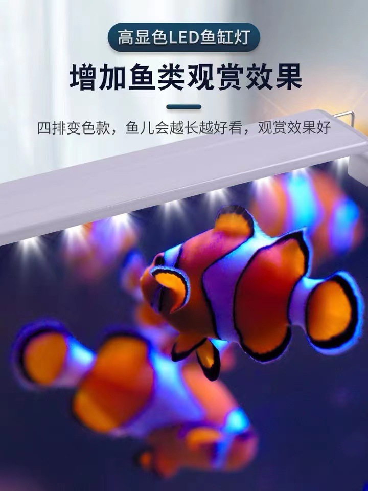 6df620e3-a9a8-473b-b4b3-065446375190.jpe