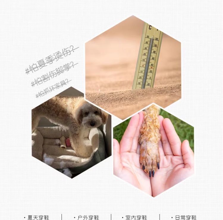 f833461d-4f94-48ad-a0c3-917db90fe6b3.jpe