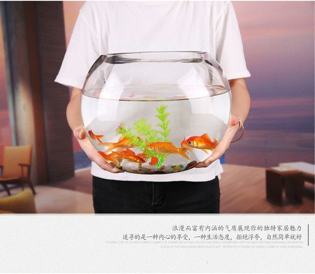 76513ac9-4172-41a3-ac9e-cdf10f8e236c.jpe