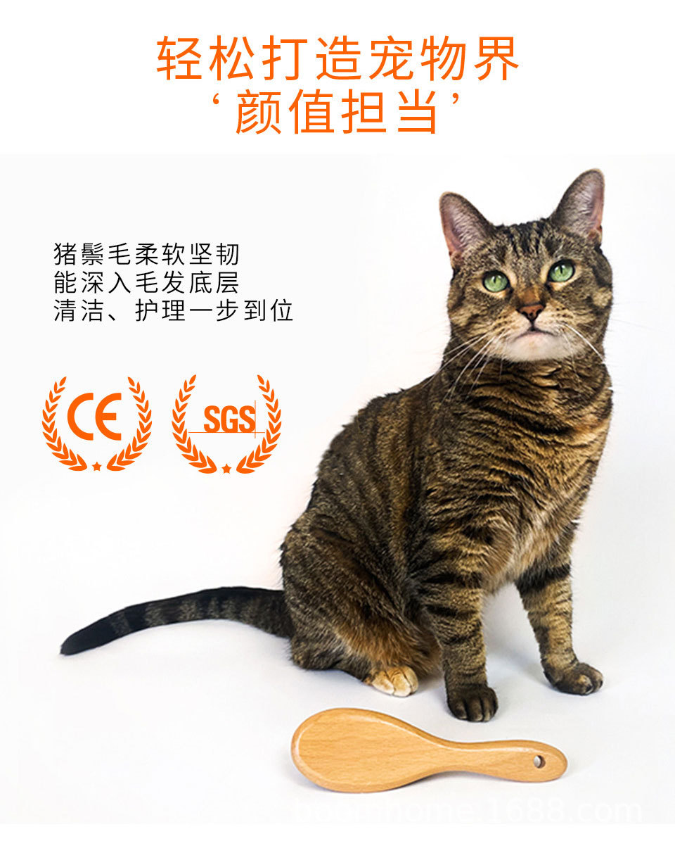 猪鬃毛梳刷_06.jpg