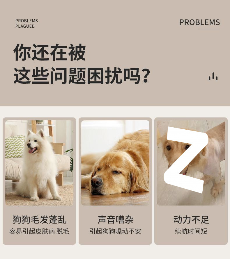 28d002a9-99d6-47a0-9400-389a1659cdff.jpe