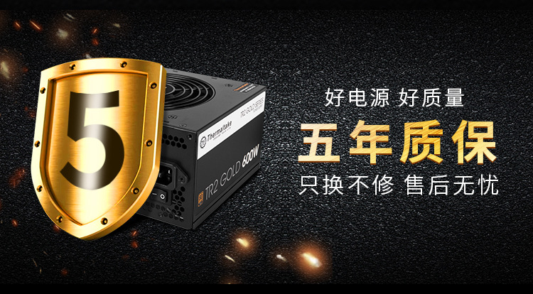 TT TR2 GOLD 600W- (2).jpg