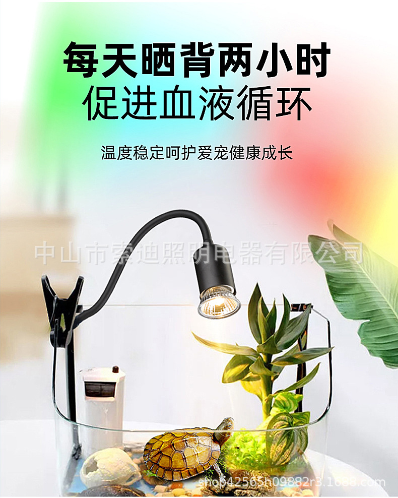 乌龟灯详情4.jpg