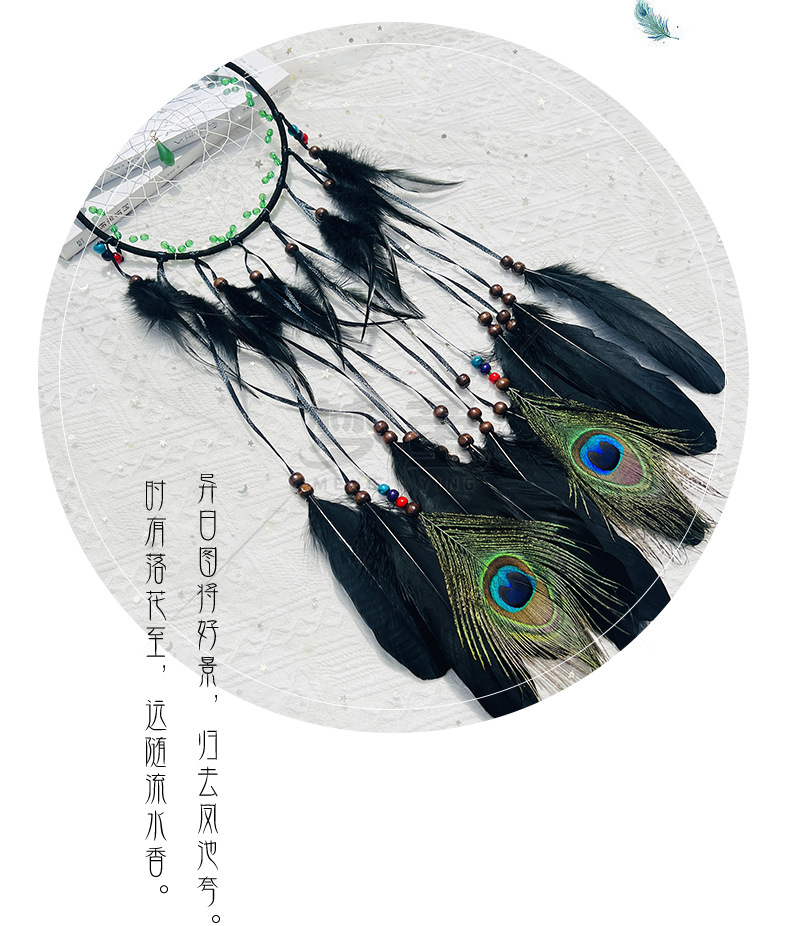 黑色孔雀详情_08.jpg