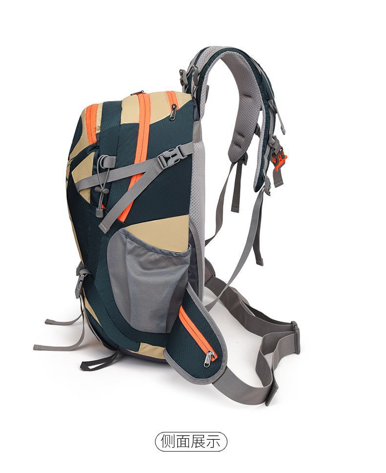 740ea6bc-b9ef-4726-b629-a579187bb80e.jpe