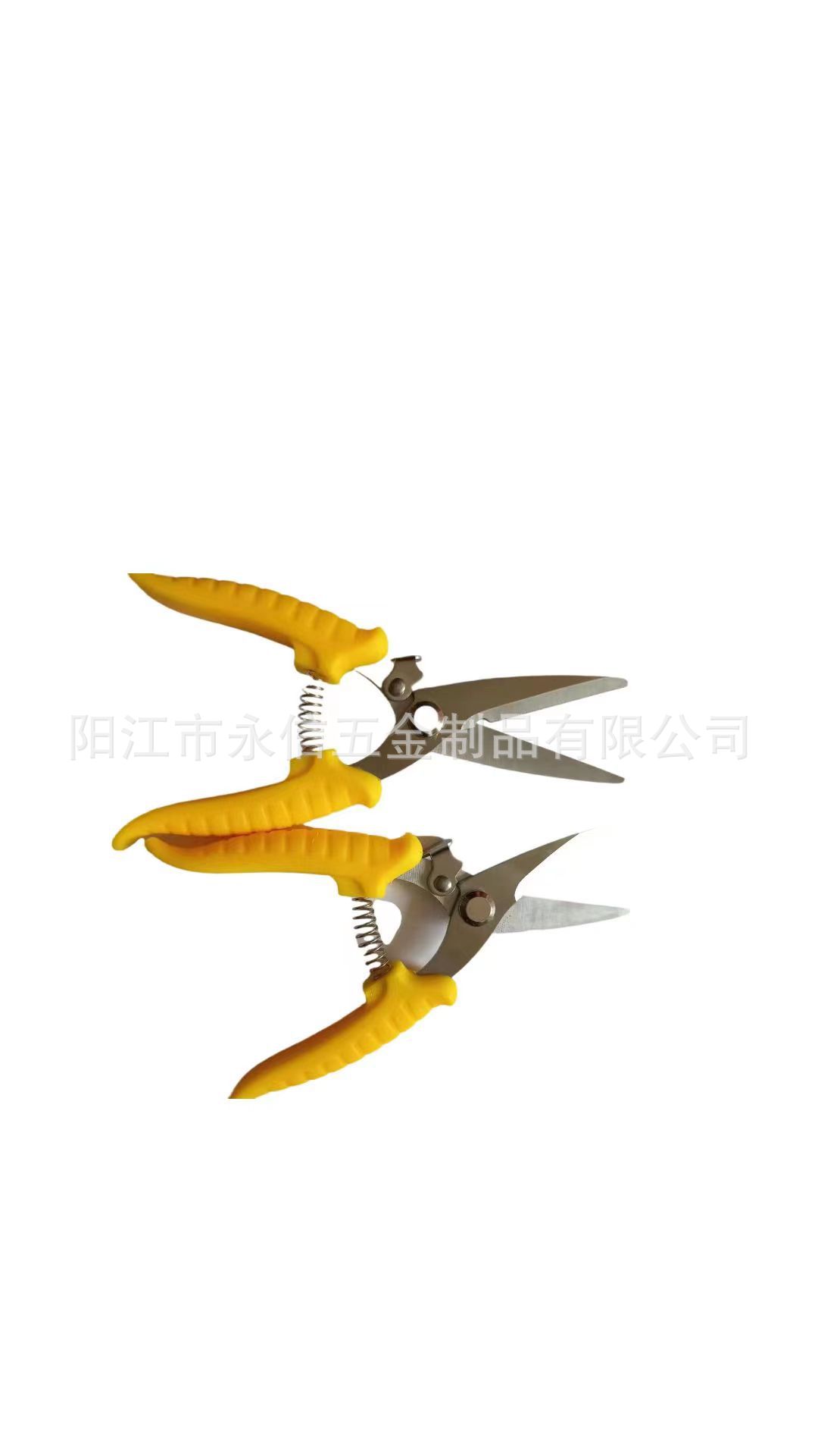 微信图片_20230410093444