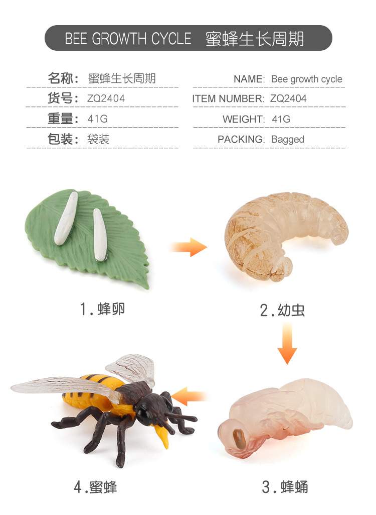 详情_04.jpg