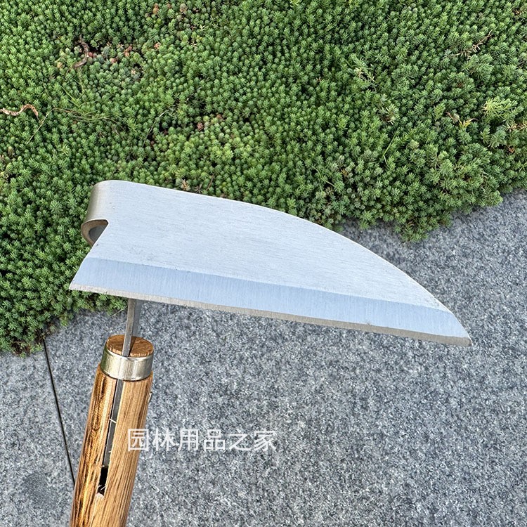 微信图片_20240706104536.jpg