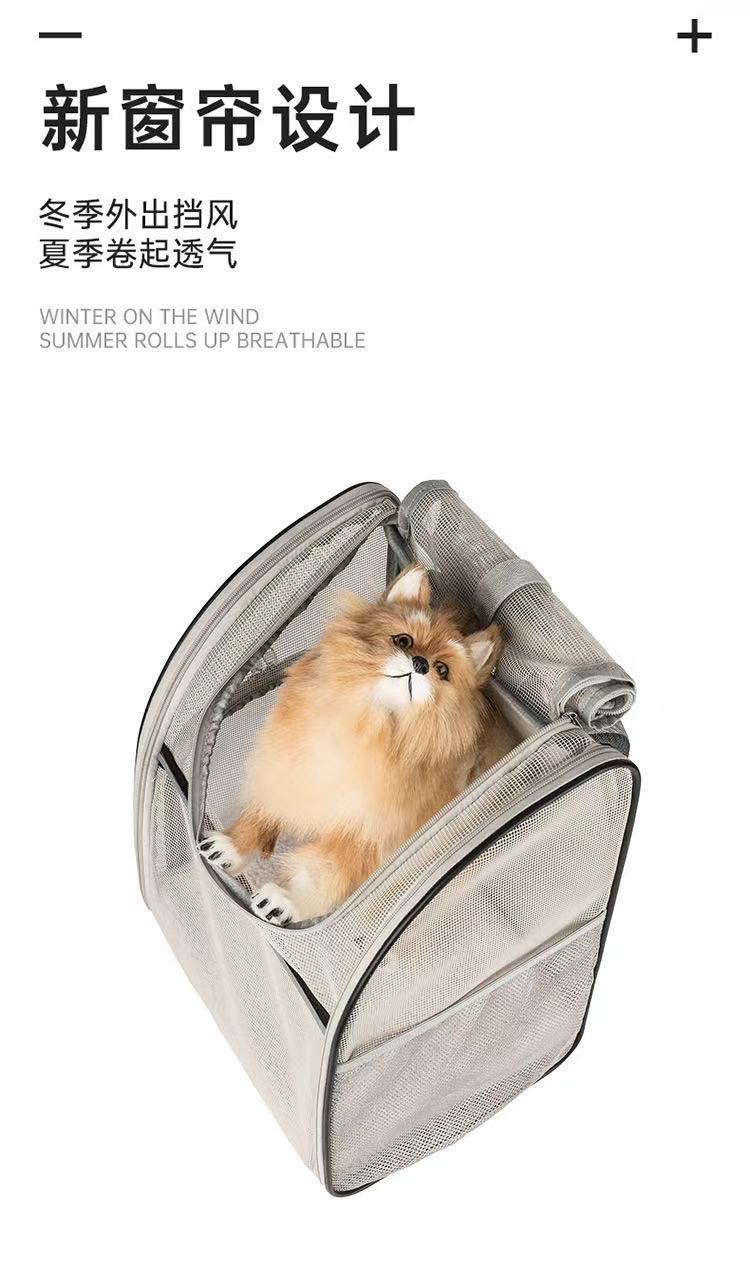 微信图片_20250511115700_309