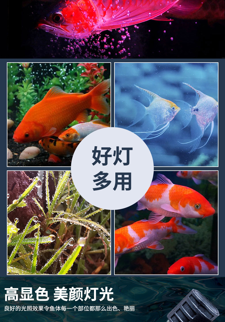 94017a20-06e7-4aa5-88e5-b2b2312e9a34.jpe