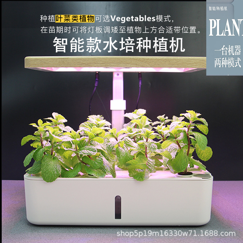 1.jpg?x-oss-process=image/format,png