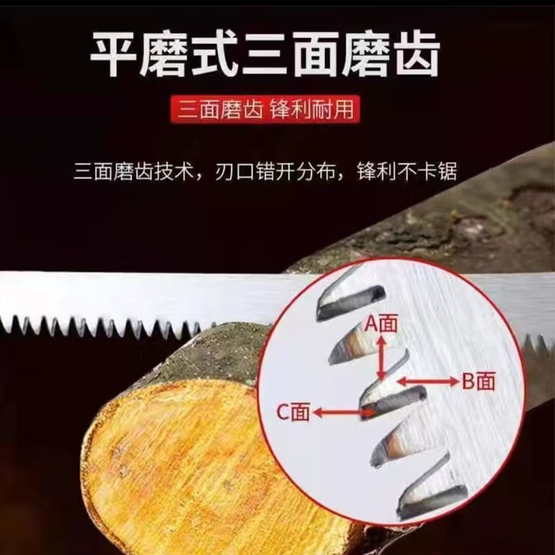 微信图片_20251023103254_224_6