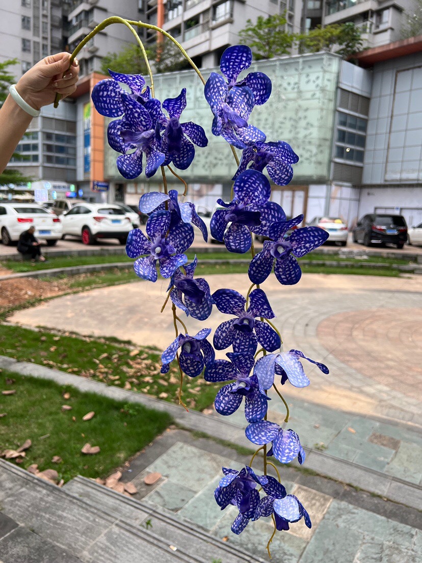 微信图片_20240805150153