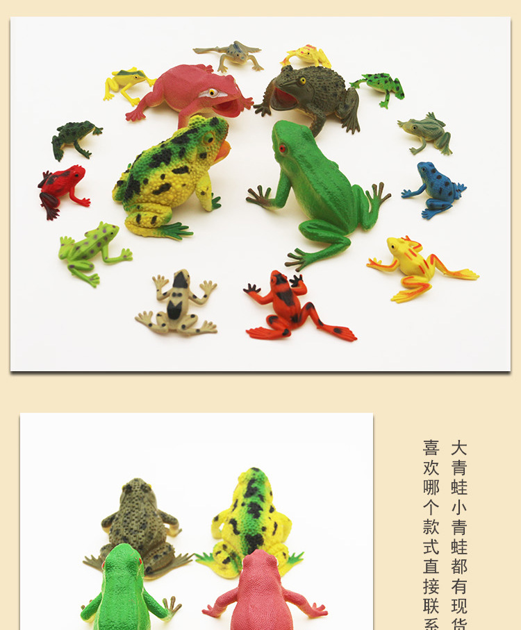 青蛙详情_09.jpg