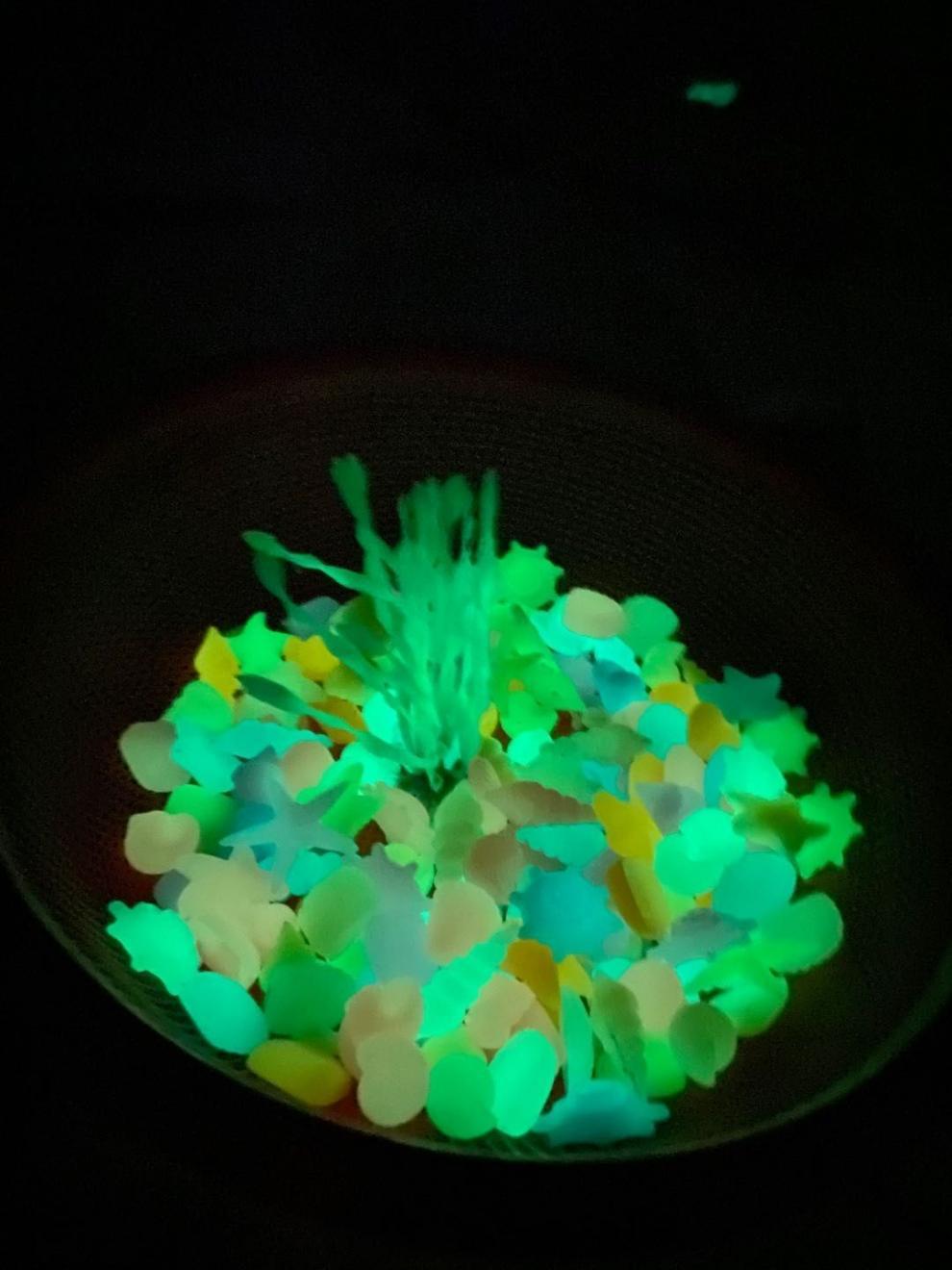 7d49e37b-fd66-4046-8d9c-46f997fcd1e4.jpe