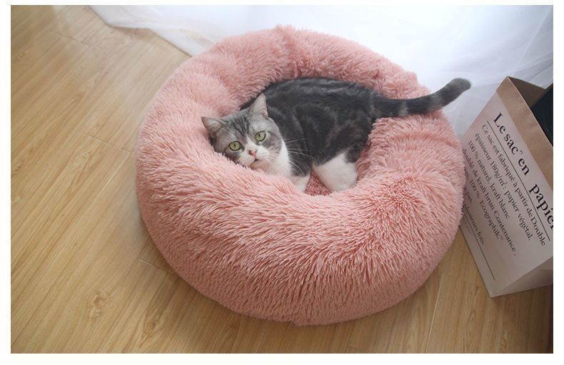 77beb6b5-4e3d-42e7-848a-e41baae28e95.jpe