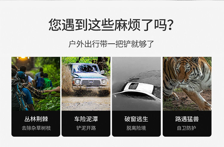 7702faf6-aa42-4949-a683-21c9b6f5c585.jpe