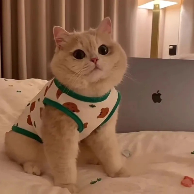 ab3d101a-e950-47f5-a63d-9c524daaa808.jpe