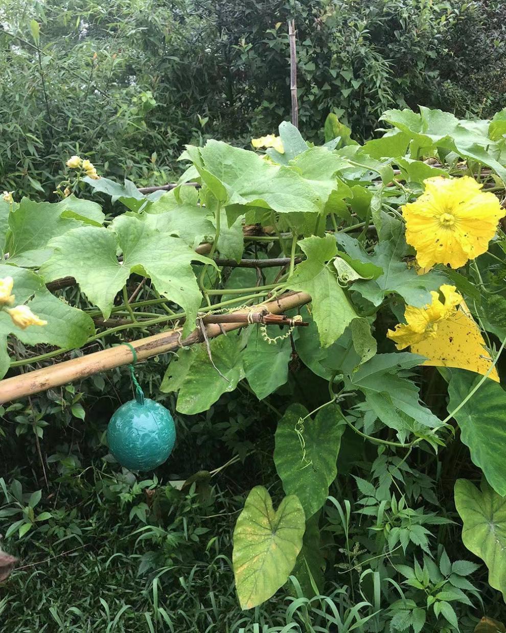 08225de1-3285-481d-aad4-f531a64468ca.jpe