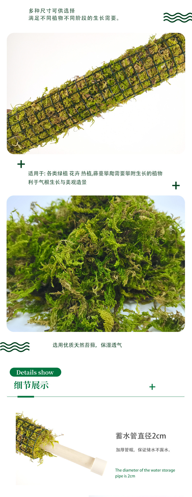青苔中文详情图_03.jpg