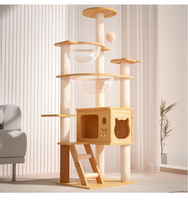 b7ba6b45-69fb-468a-ad0e-124d4cdab11e.jpe