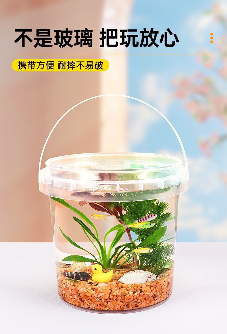 c21fe5b6-1dba-488c-a8f4-c25eae0a4f4b.jpe