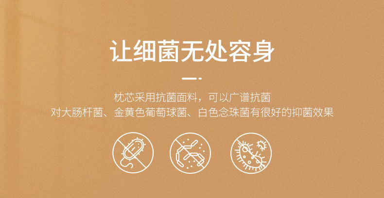 未标题-1修改_07