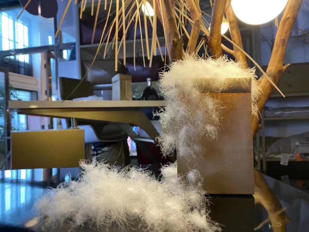 ab8a637ea46ce3ed75f861a2573d13