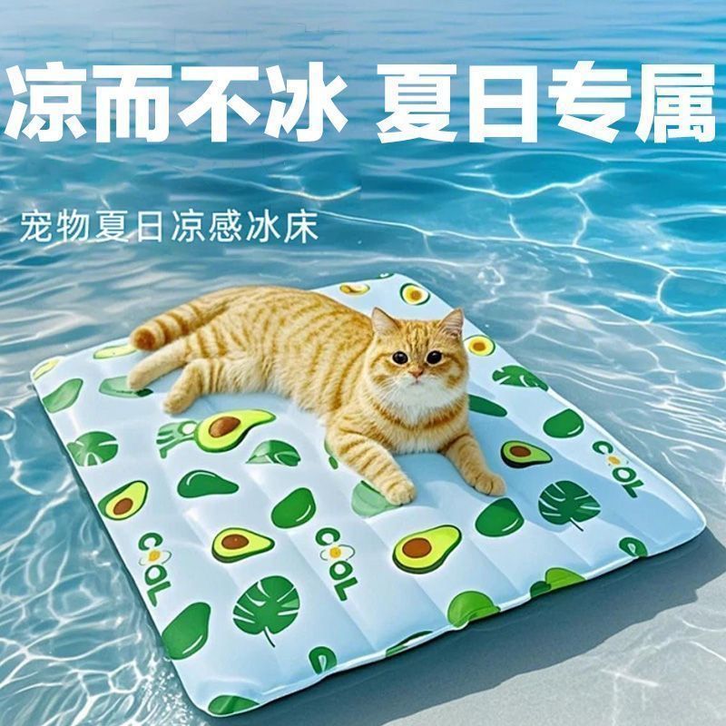 57b7fcb8-8d73-4c89-b952-0f82ffcc377a.jpe