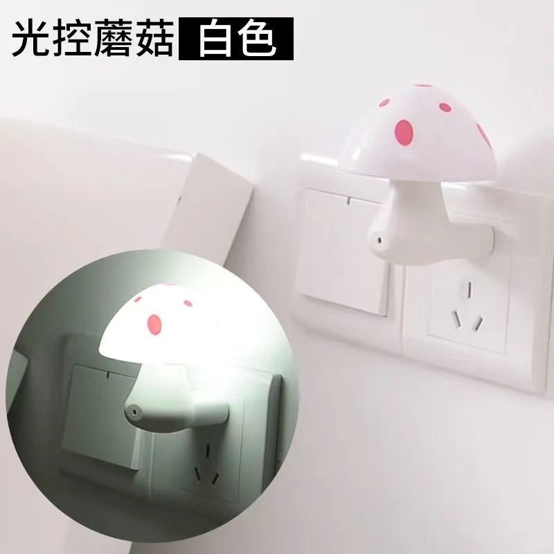 08fc3cc5-6c12-4f8c-8caf-ce741625b30a.jpe