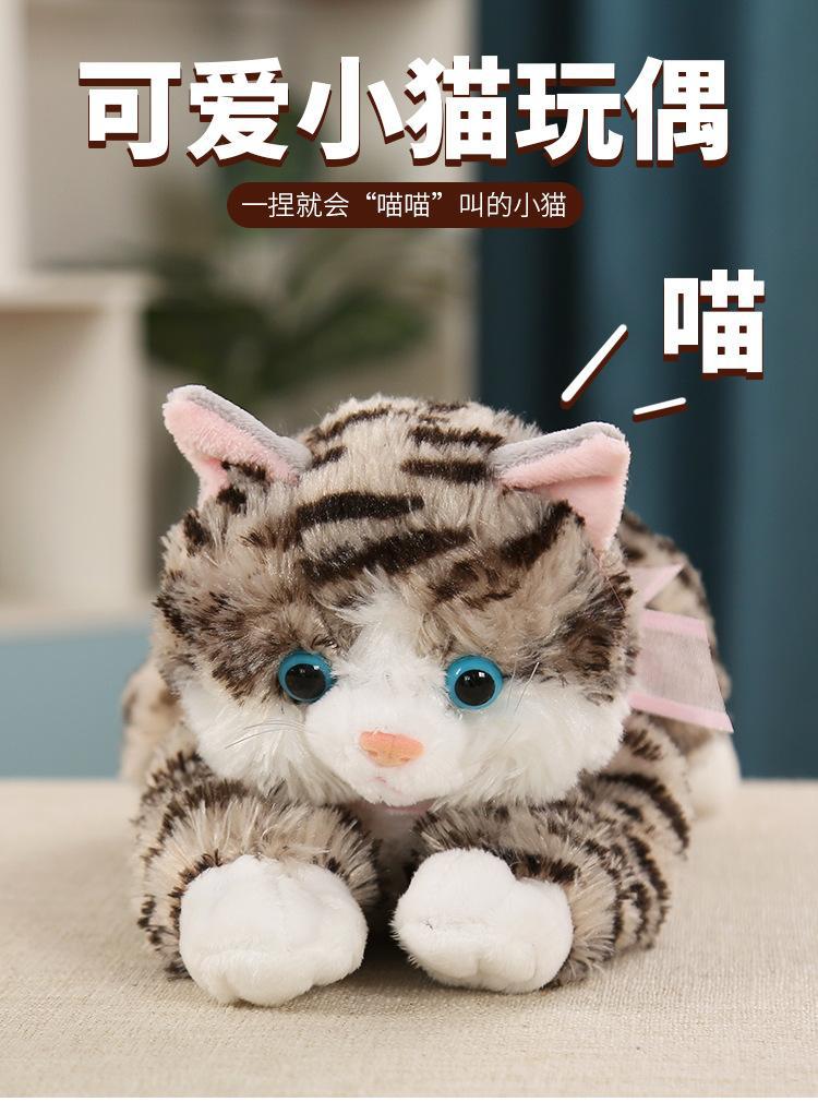 猫猫_01.jpg