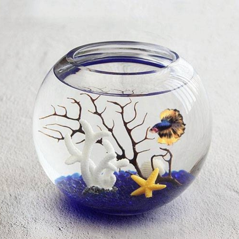 a985ced0-bece-4053-8a41-25378ddcc5be.jpe