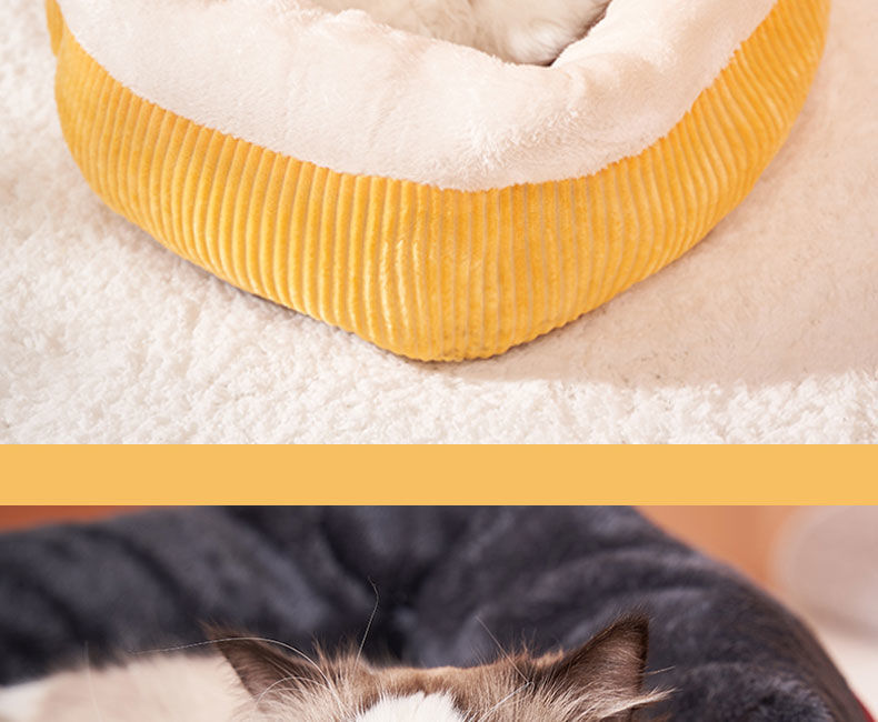 5eadcf75-f0eb-41d9-b3d9-d98829793c81.jpe