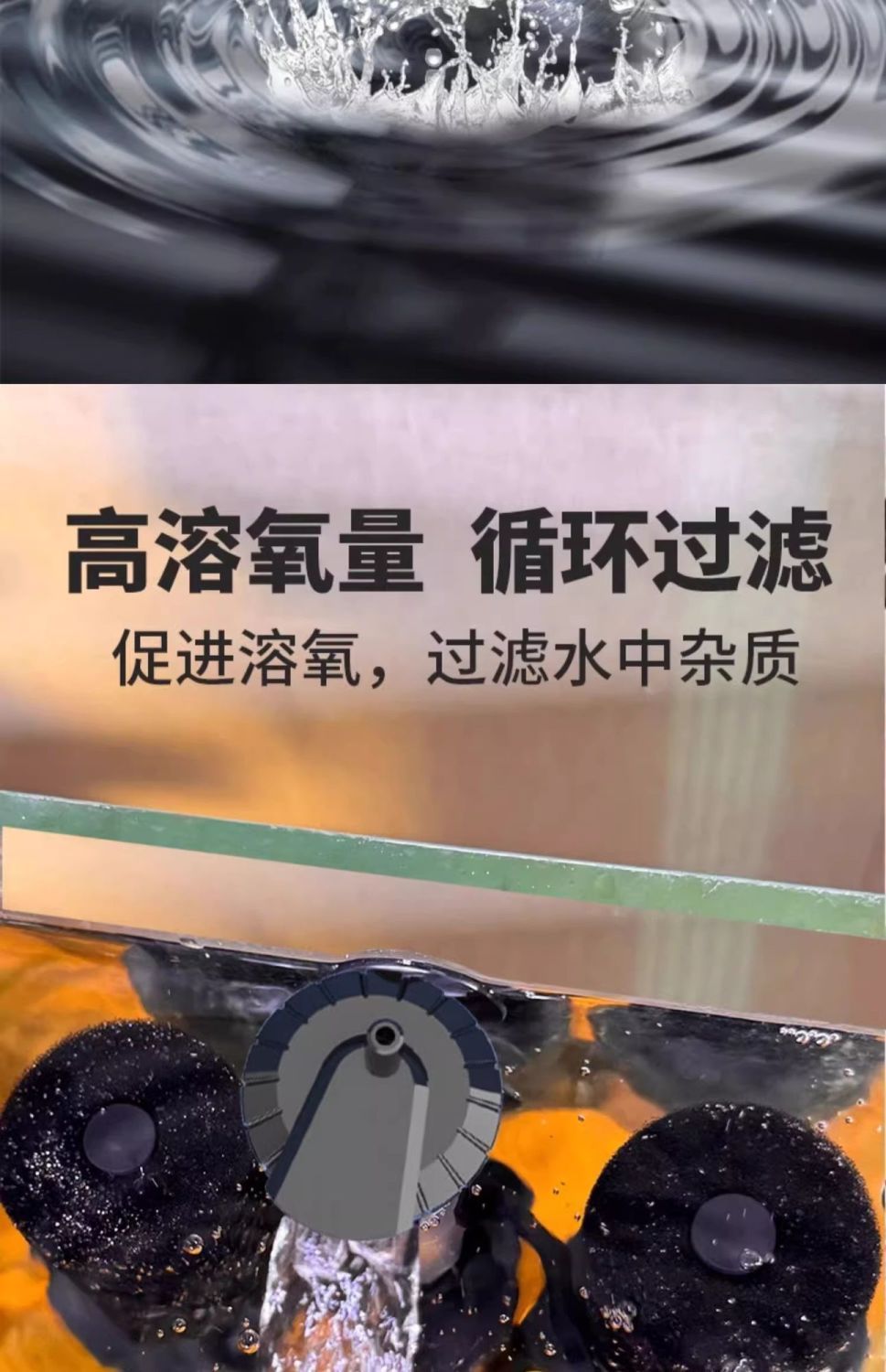 970cc7db-f66f-47c4-815e-e54316063dfe.jpe