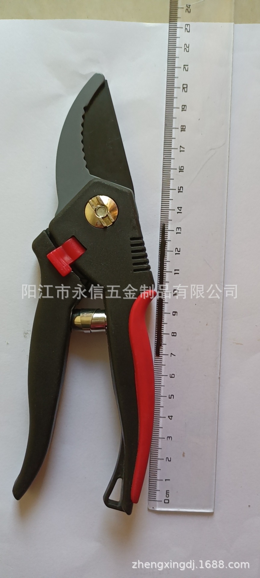 微信图片_20211020171357