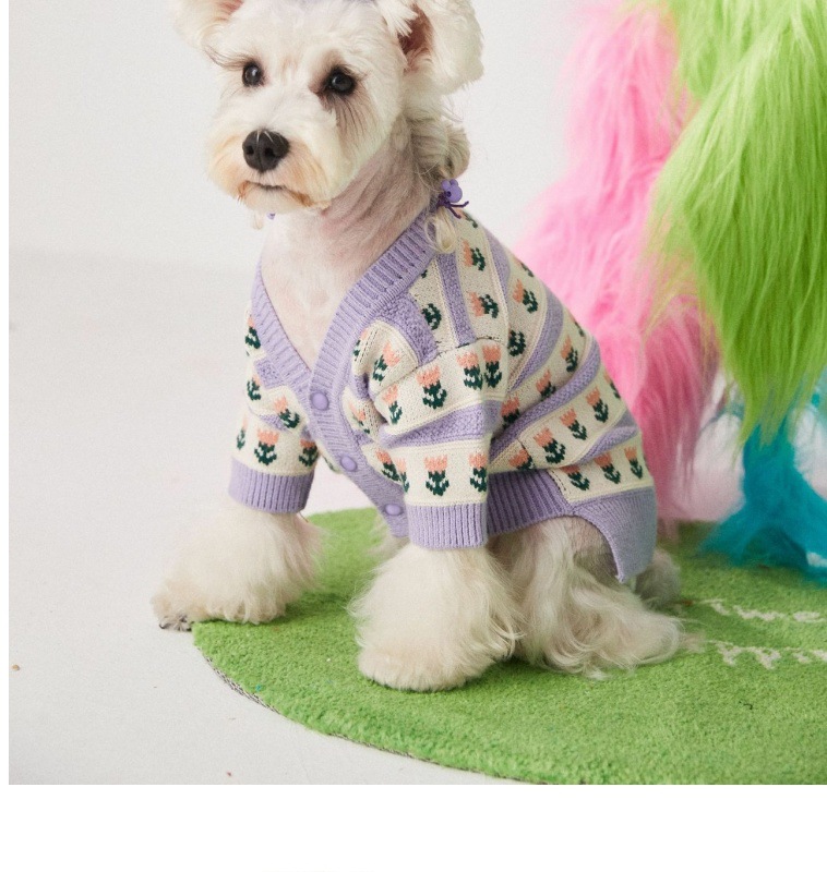 d2c192c5-7c40-422b-9b4a-b469adb60fa8.jpe