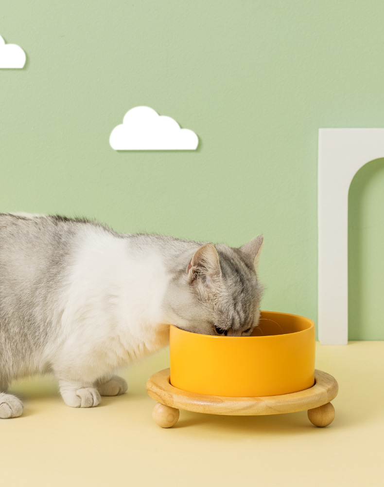橡木板陶瓷猫碗_06.jpg