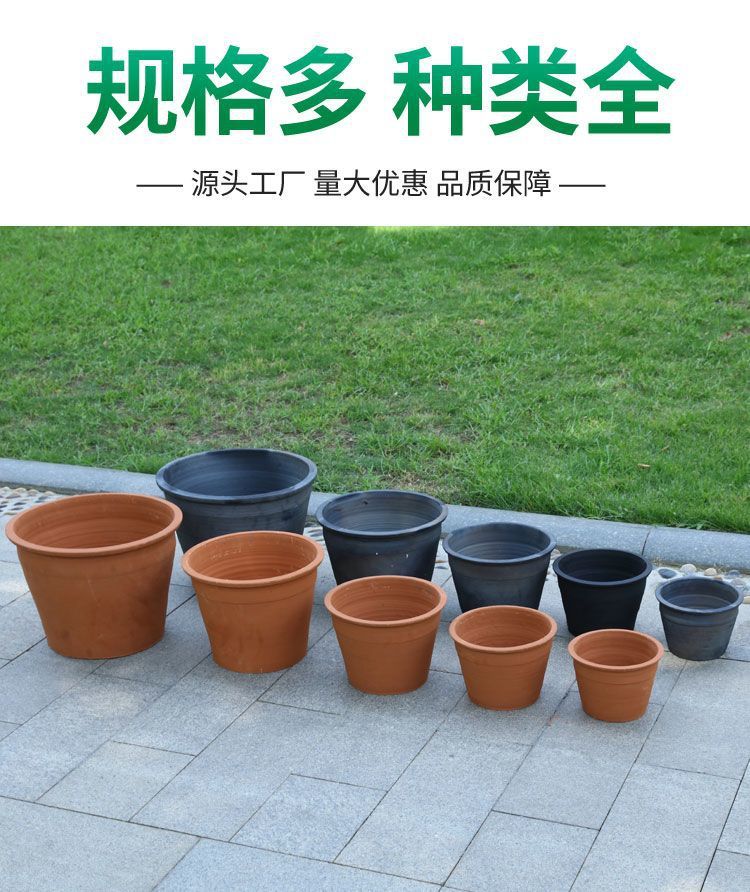 52ebcc5f-9bc0-40dc-a683-498dc9fcf24f.jpe