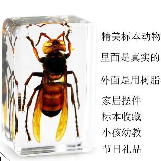 2024-11-30 15:41:59.jpg