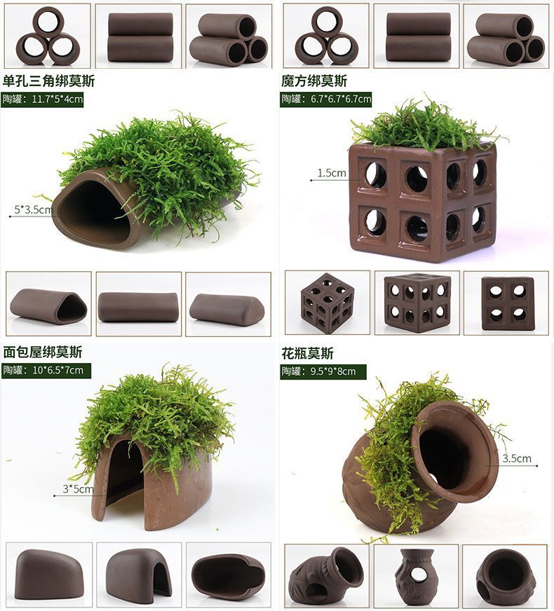 9a4aa761-0d0b-43e2-933d-b523345f19fc.jpe