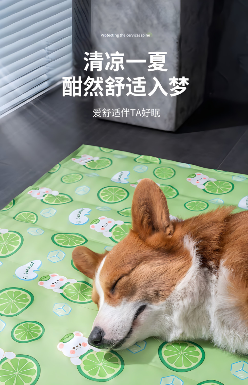 29e7b079-cb9b-44ec-8f99-c78733629dec.png
