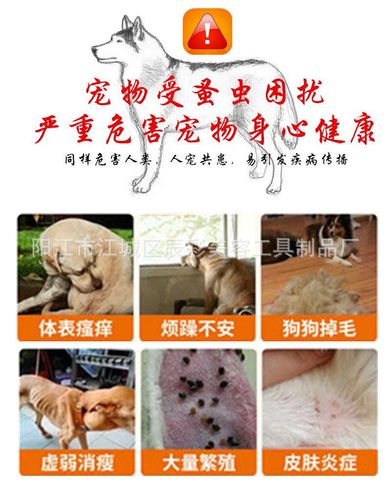 详2.jpg