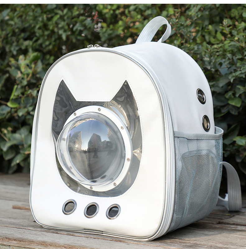 abdcc223-e3ad-43b2-aed8-dcb72ec9562b.jpe