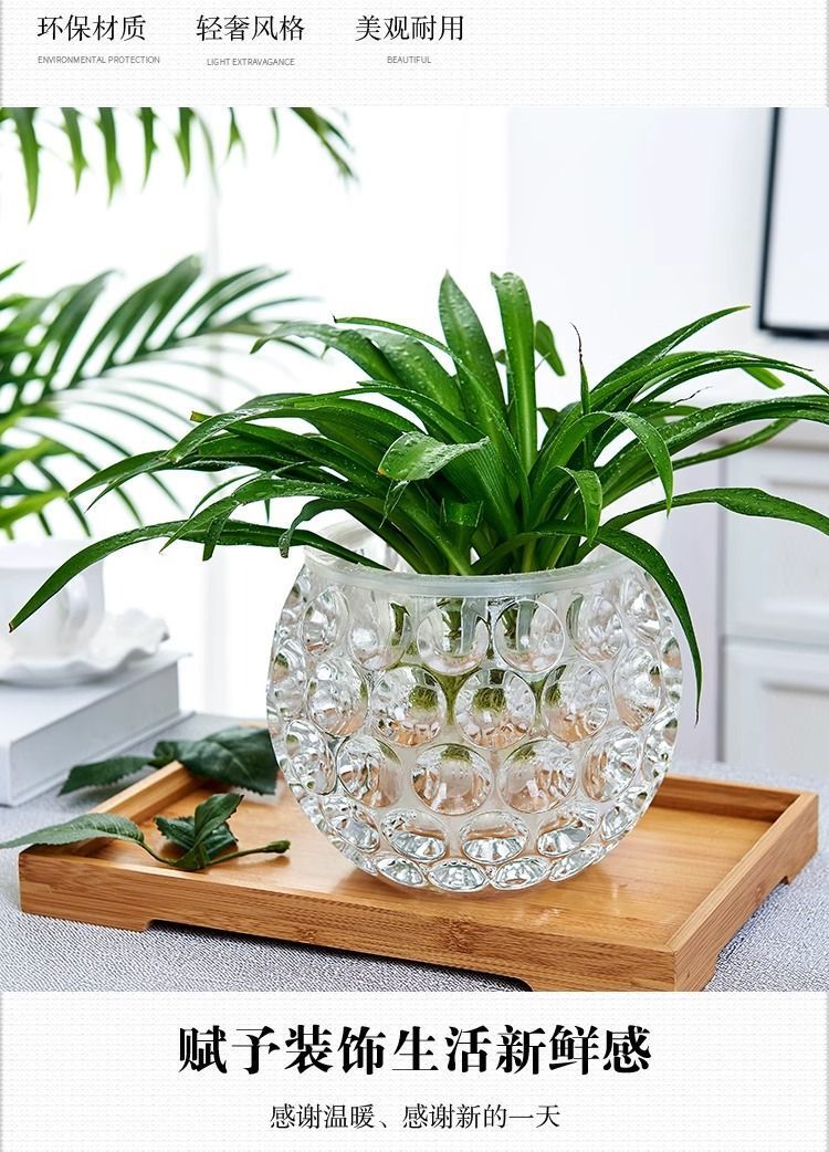 c1426ffa-1a8a-444d-ae4e-5d361a61da11.jpe