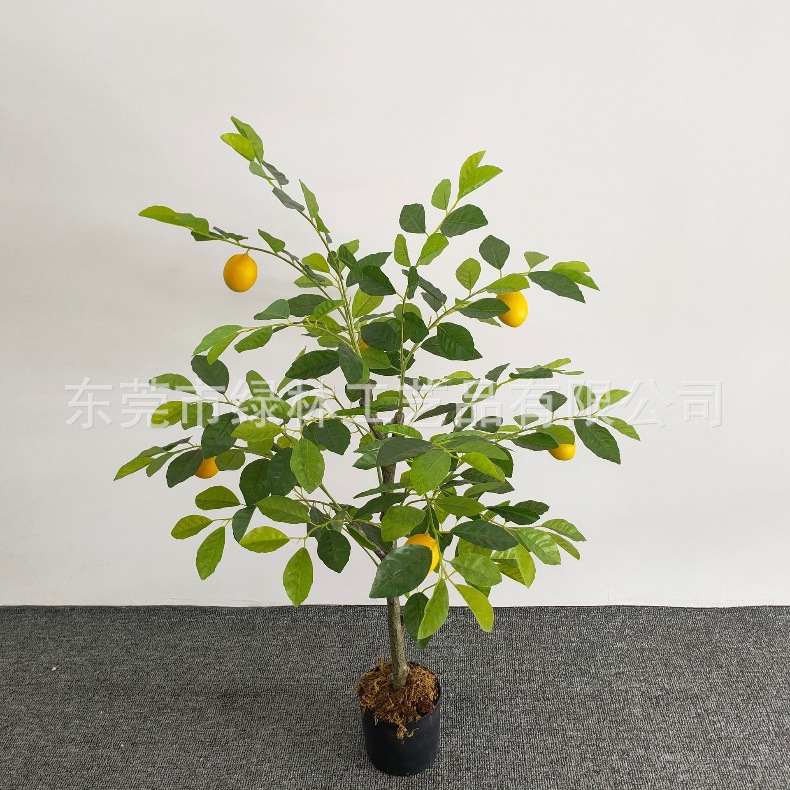 ab87865c037e5a700354fc88b56b1a