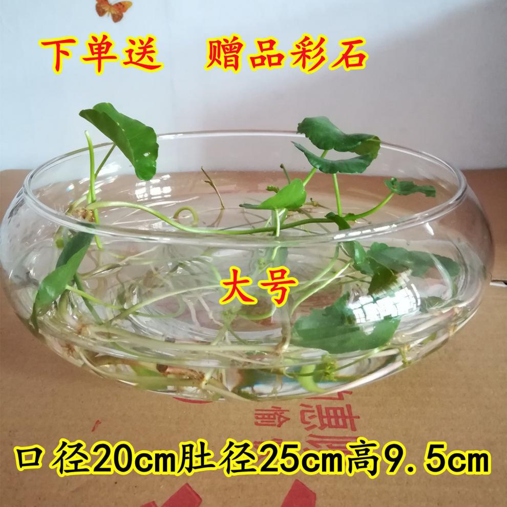 4e6c4fda-440a-436a-99b3-0615ac93754a.jpe