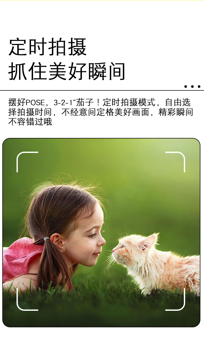 KX-11恐龙详情_11.jpg