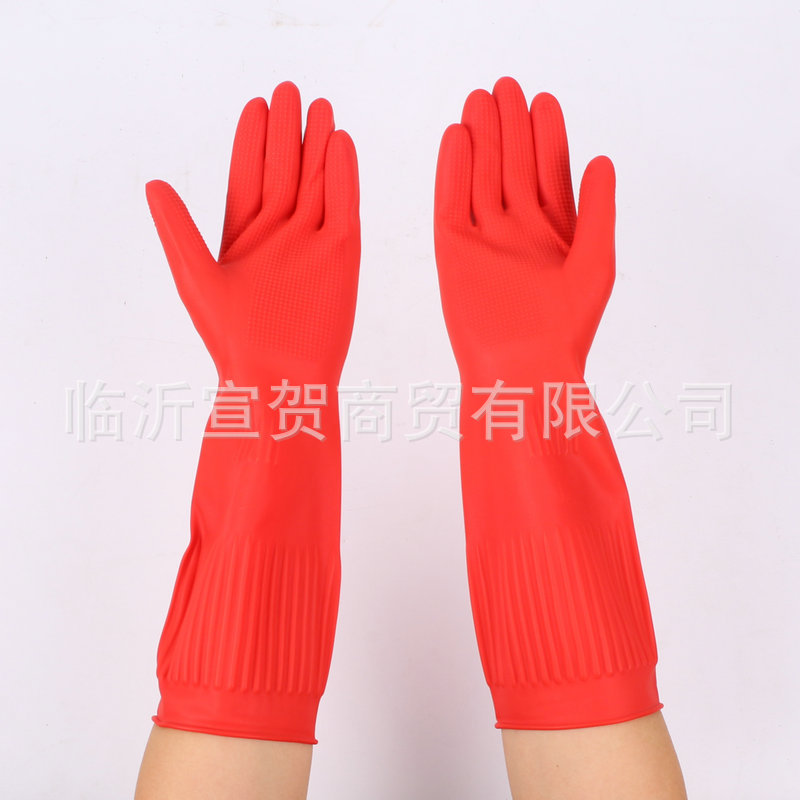 美人帮两色 (3).JPG